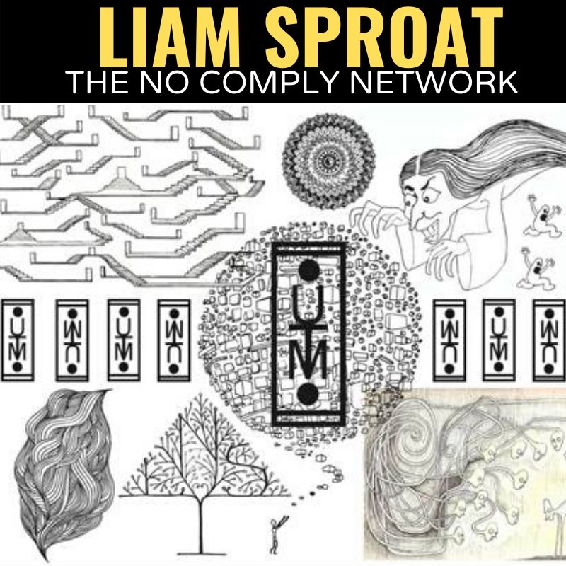 Liam Sproat The No Comply Network Graphic 1