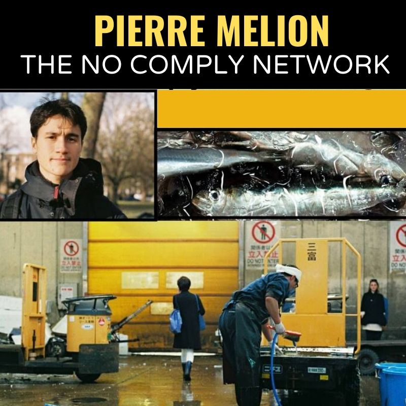 Pierre Melion The No Comply Network Graphic